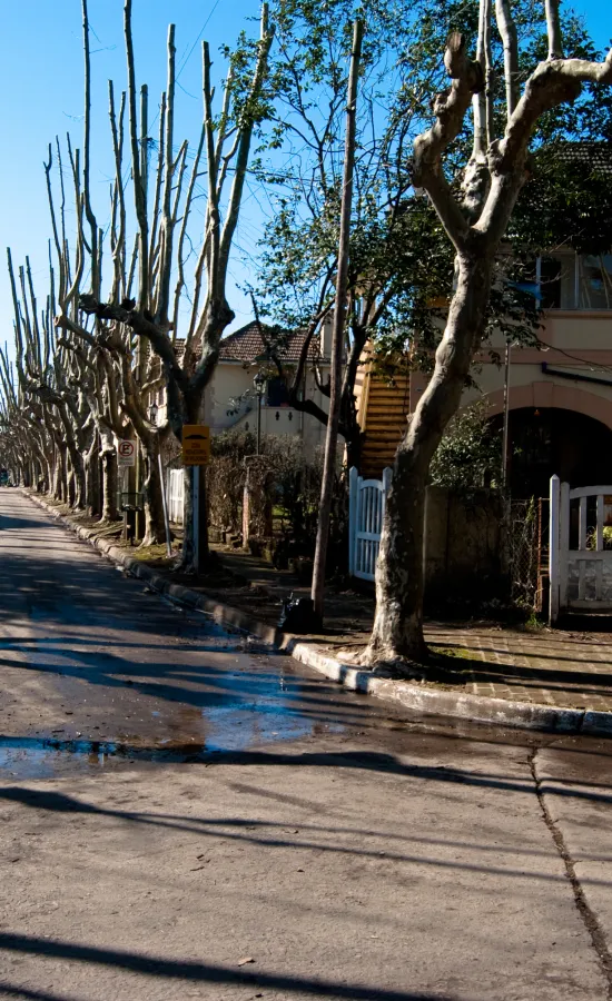 Villa Argentina (Barrio cervecero)