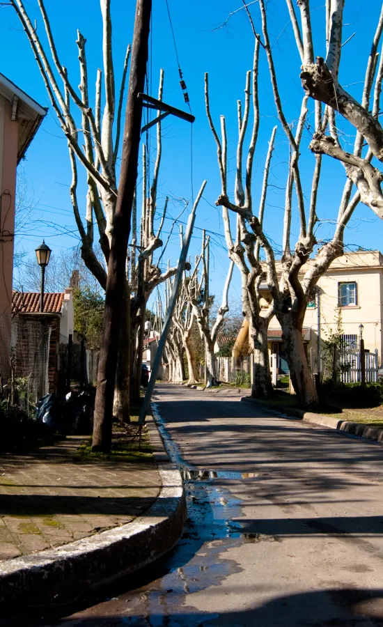 Villa Argentina (Barrio cervecero)