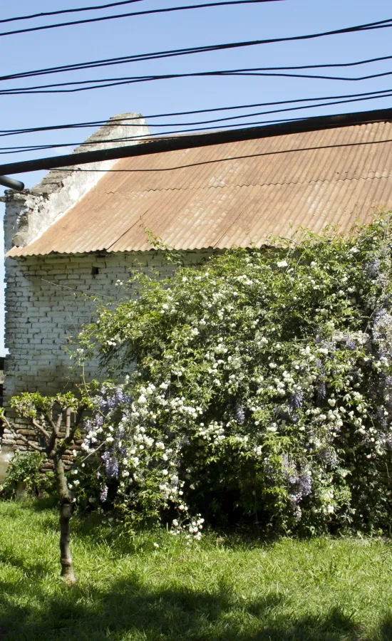 Hacienda de Figueroa