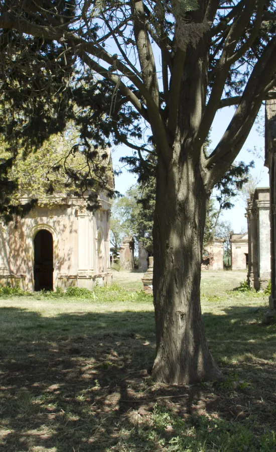 Cementerio Abandonado Sud