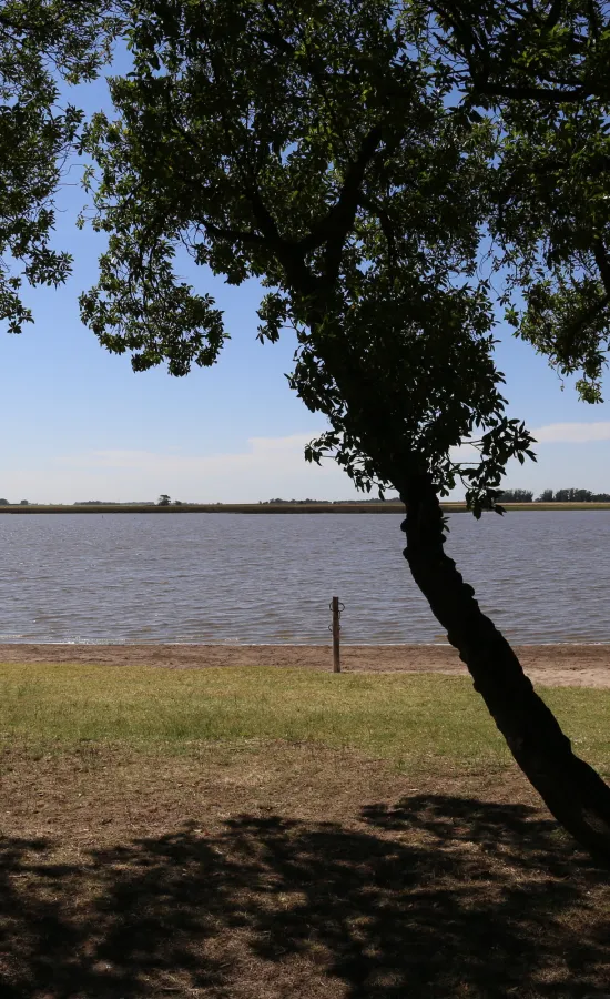 Laguna La Salada