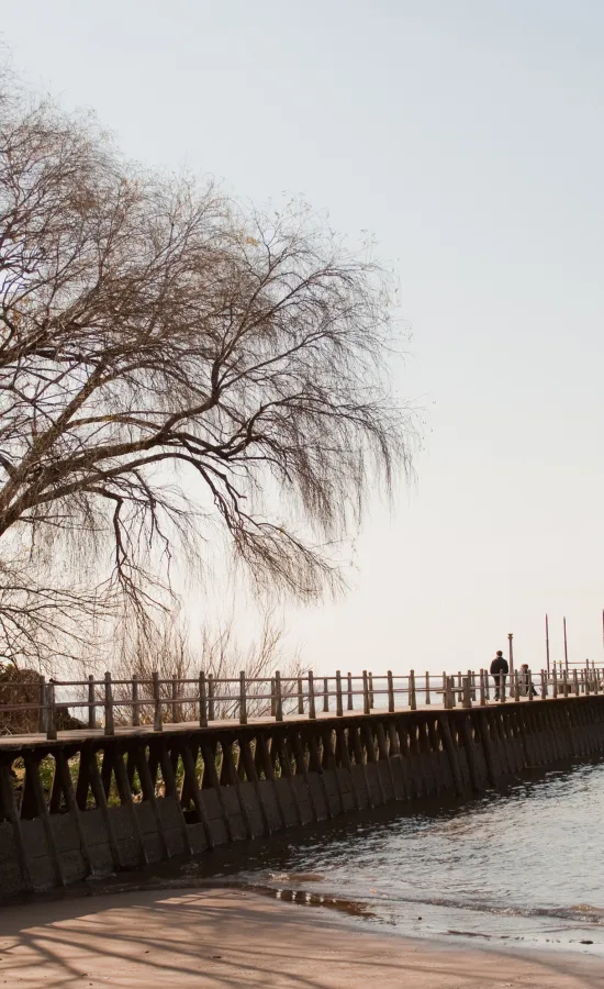 Muelle de Martínez