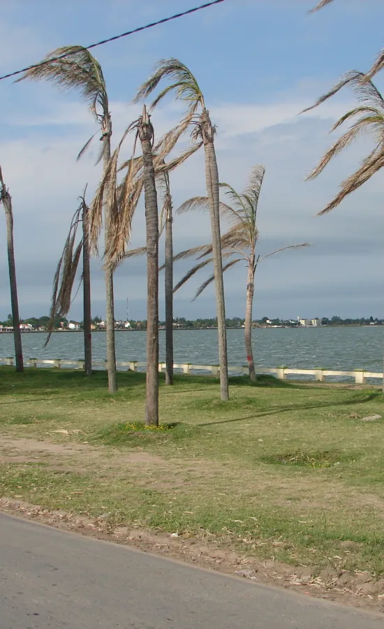 Laguna de San Miguel del Monte (Monte)