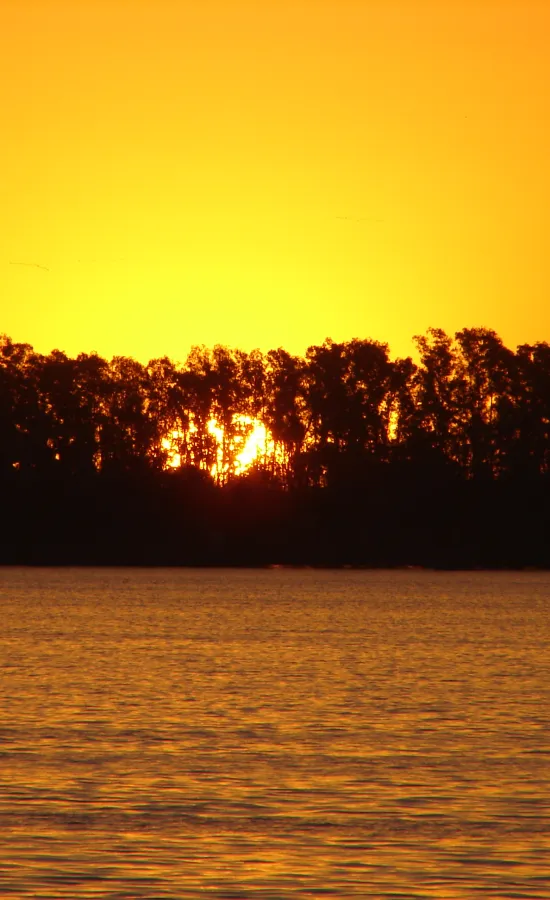 Laguna de San Miguel del Monte (Monte)