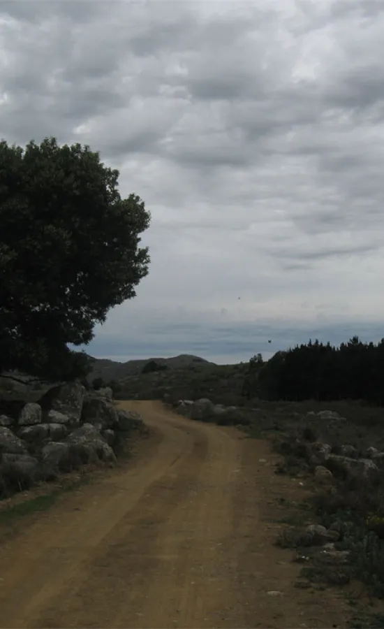 Reserva Natural Sierra del Tigre