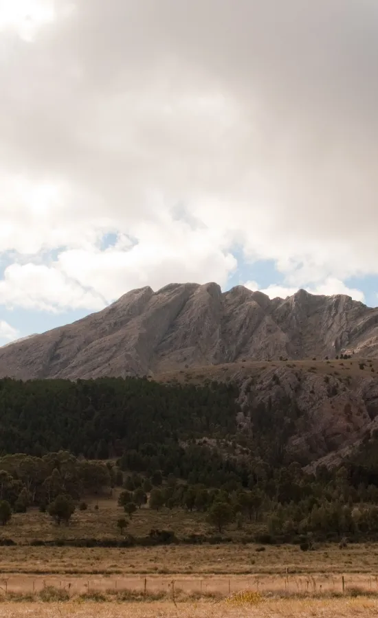 Ruta a Villa Ventana