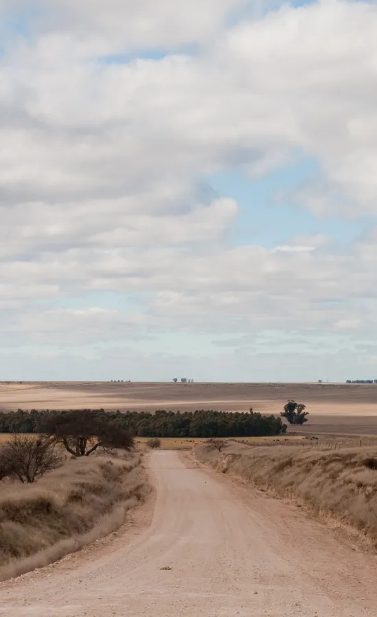 Camino Chasicó