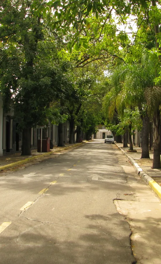 Cementerio de Olivos