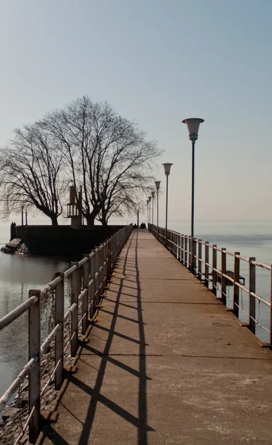 Muelle Vicente López