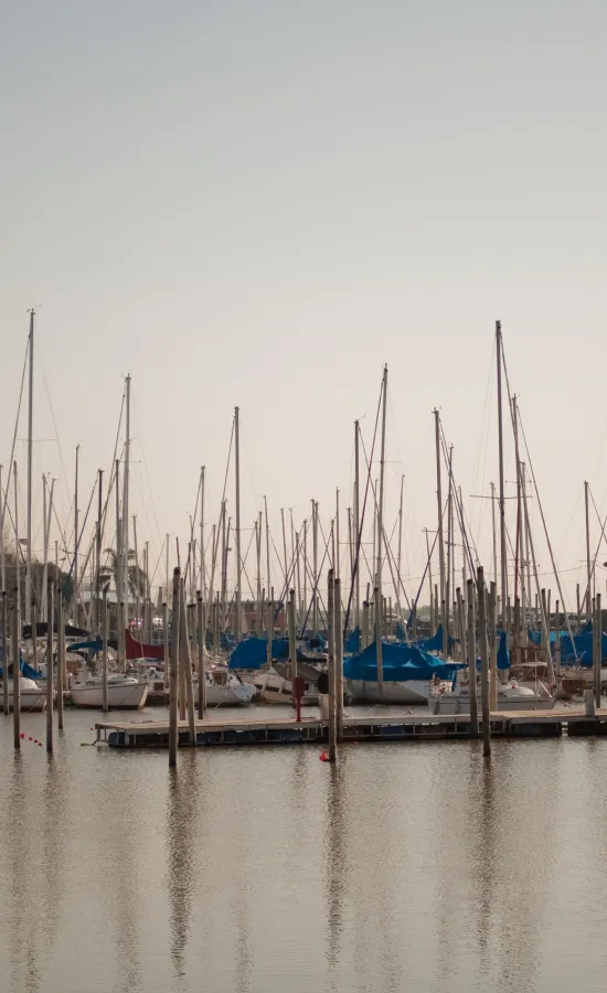 Muelle Vicente López