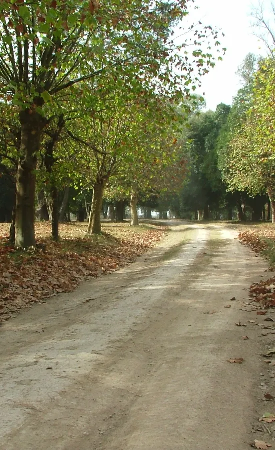 Estancia Santa Rosa