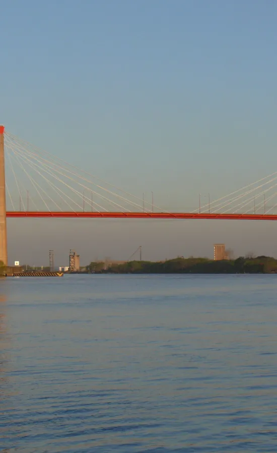 Puente Zárate Brazo Largo