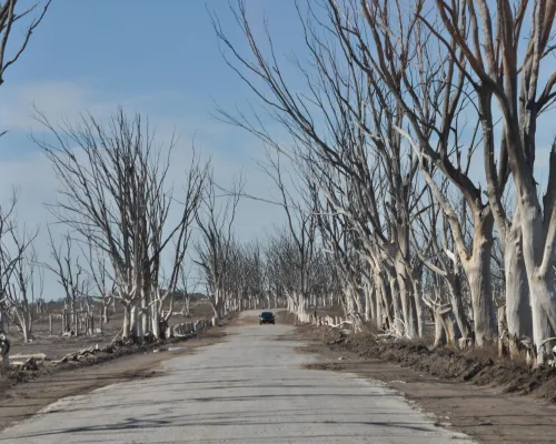 Ruinas de Villa Epecuén