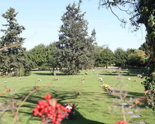 Cementerio Parque Iraola