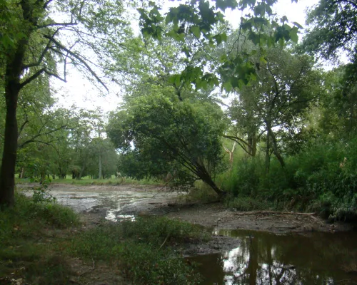 Parque Pereyra Iraola