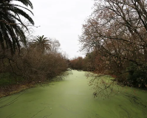 Parque Pereyra Iraola