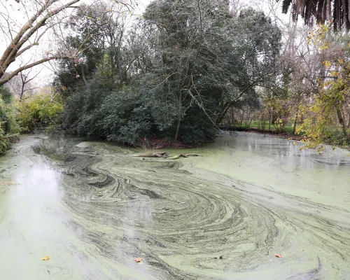 Parque Pereyra Iraola