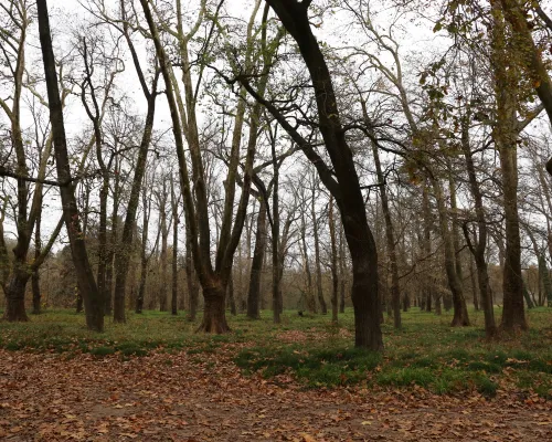 Parque Pereyra Iraola