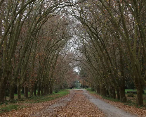 Parque Pereyra Iraola