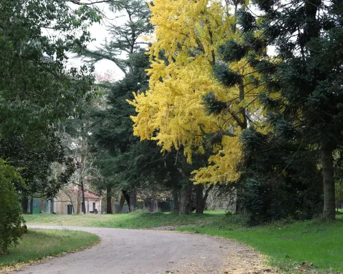Parque Pereyra Iraola
