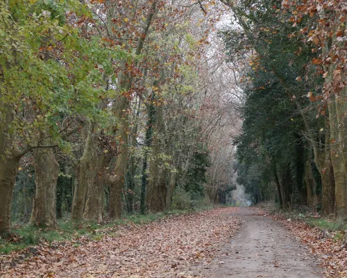 Parque Pereyra Iraola