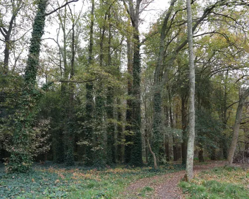 Parque Pereyra Iraola