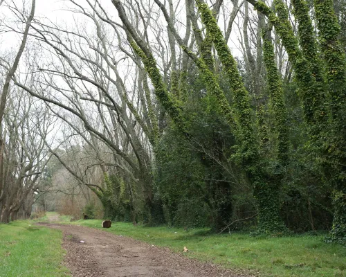 Parque Pereyra Iraola