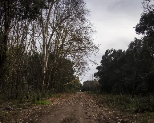 Estancia Montelén