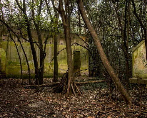 Estancia Montelén