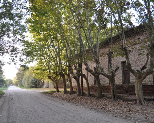 Calles internas de Uribelarrea