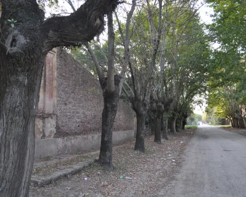 Calles internas de Uribelarrea