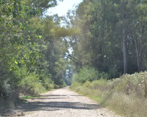 Estancia San Martín