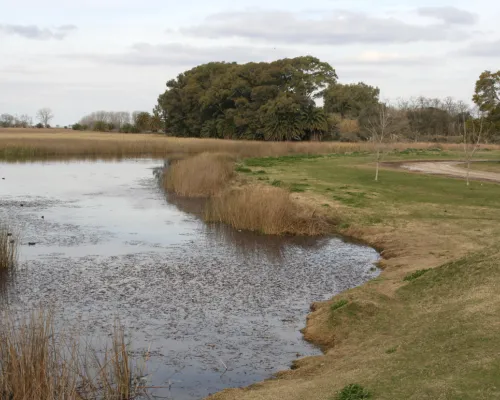 Laguna La Rosita