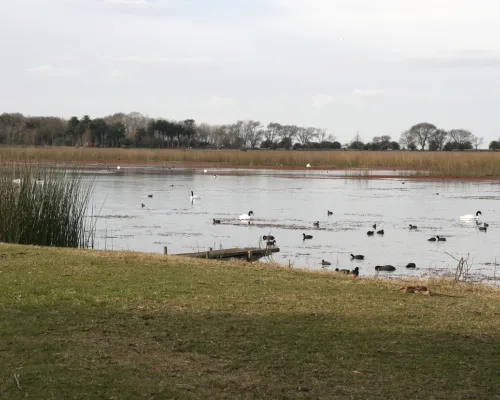 Laguna La Rosita