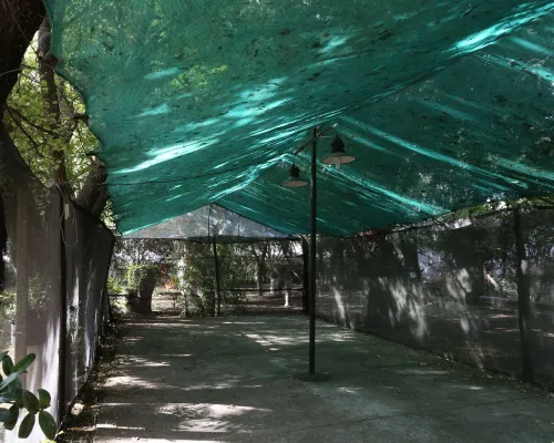 Camping Parque la Palmera