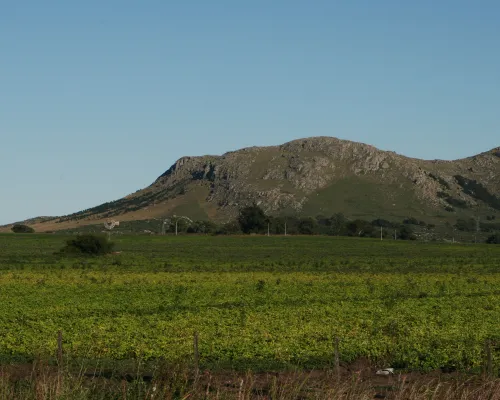 Sierras de Coronel Suárez