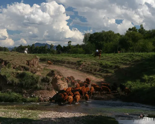 Sierras de Coronel Suárez