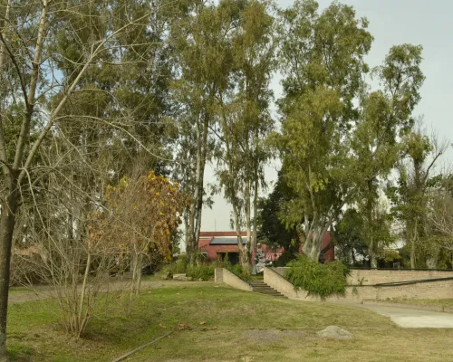 Museo de La Campana