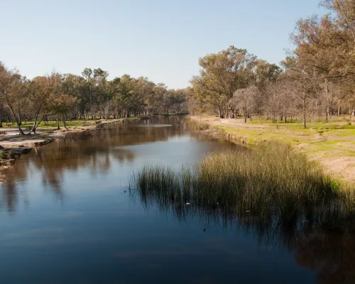 Bosques de Ezeiza