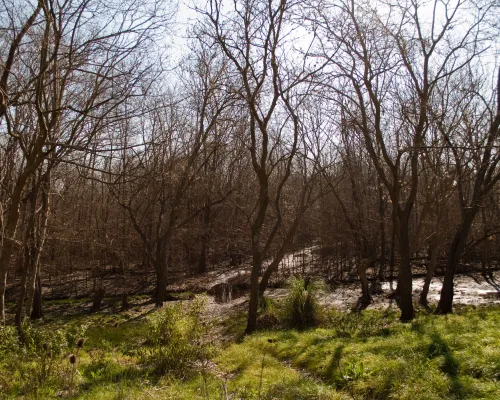 Bosques de Ezeiza