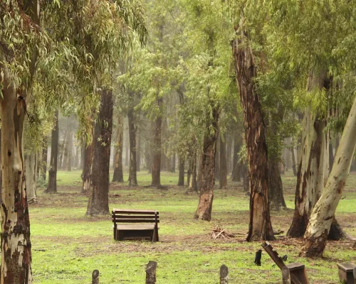 Bosques de Ezeiza