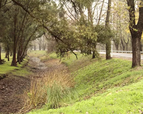 Bosques de Ezeiza