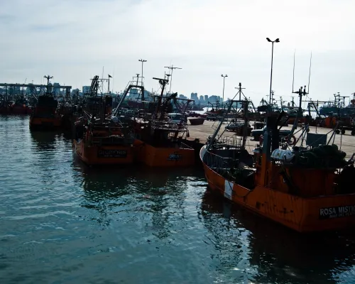 Puerto de Mar del Plata