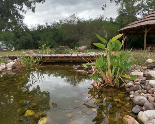 Laureles Holístico