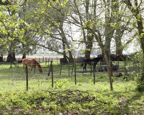 Estancia La dulce