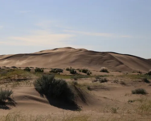 Medanos Balneario San Cayetano
