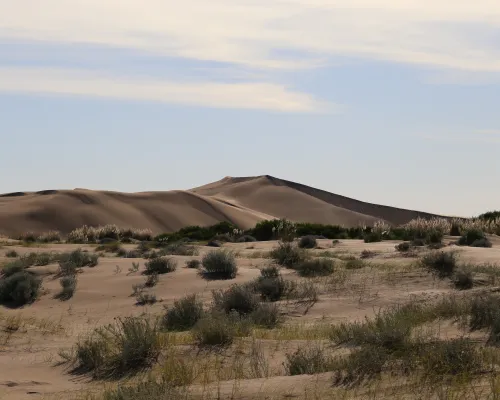 Medanos Balneario San Cayetano