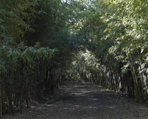 Reserva Nacional e Histórica Isla Martín García