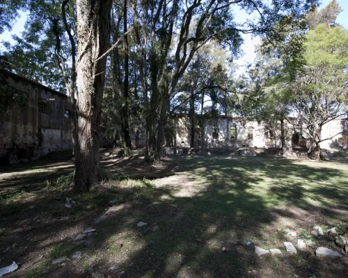 Reserva Nacional e Histórica Isla Martín García