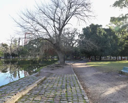 Lago del Bosque